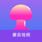 no视频下载官方版APP应用